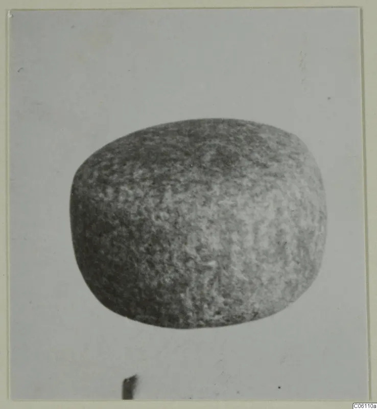 Small find: a rounded, mottled grey object photographed against a pale background