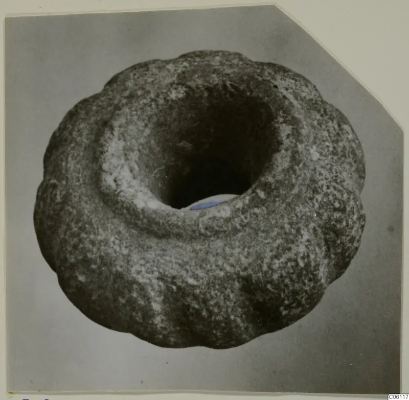 Stone macehead with a scalloped outer edge and a large central perforation, photographed from above