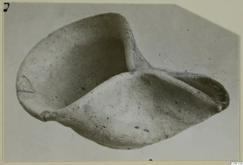 Terracotta lamp with a pinched spout, photographed from above on a light card