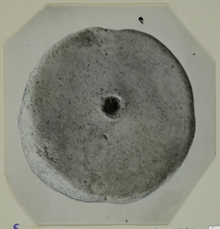 Disc-shaped terracotta object with a central hole, photographed on an octagonal card mount