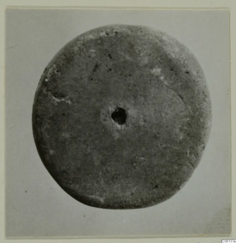 Round disc-shaped object with a central perforation, photographed face-on against a grey backdrop.