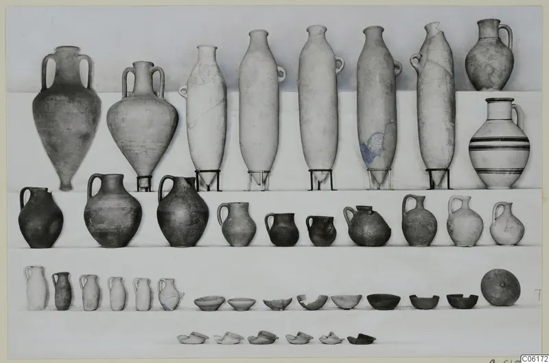 Pottery vessels from Vouni Tomb 7 set out in rows: two-handled amphorae, jugs, juglets and bowls.