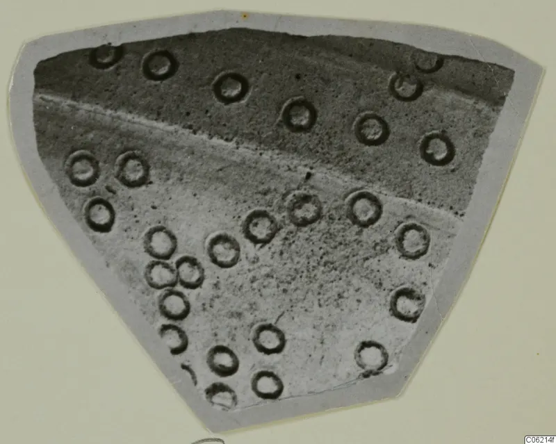 Sherd of pottery with a scatter of circular impressions, photographed on a grey mount.