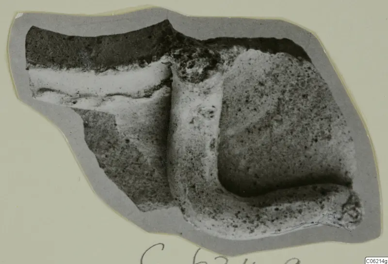 Fragment of a pottery sherd with a thick raised ridge and a broken edge, shown on a grey mount