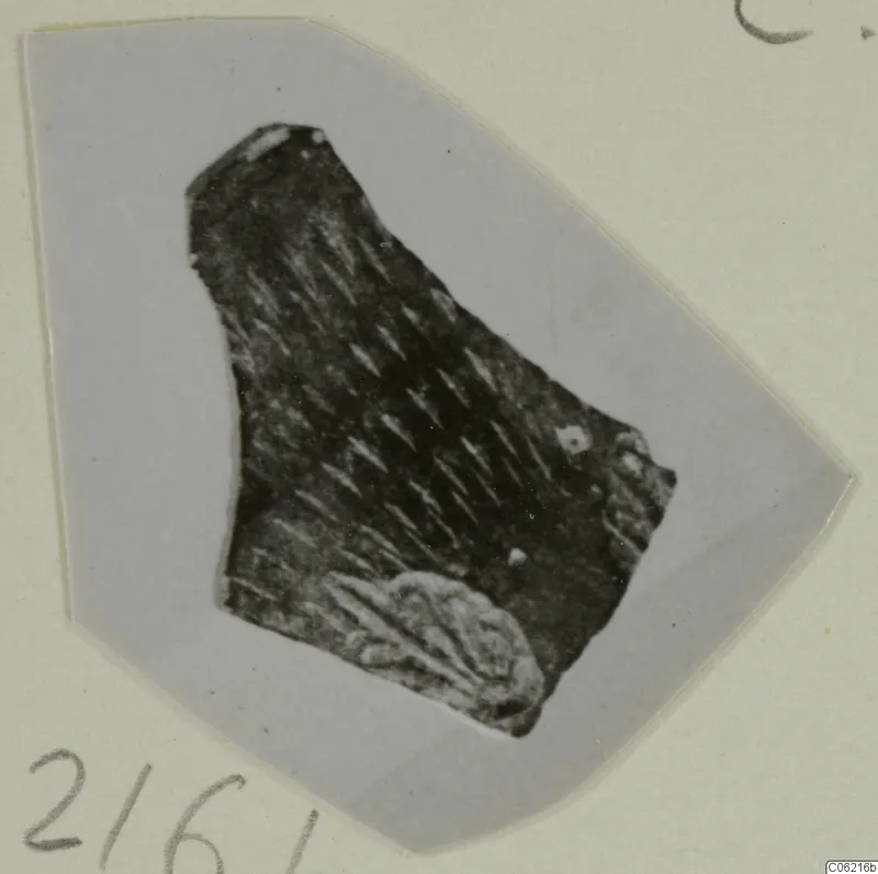 Broken pottery sherd with diagonal incised strokes, photographed on a grey card mount.