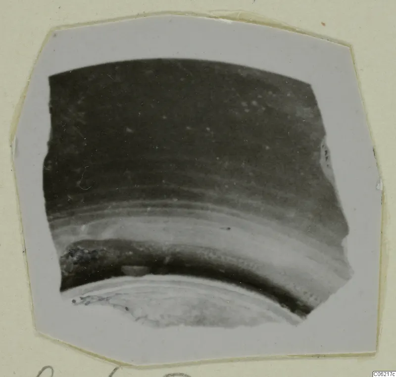 Curved pottery sherd, a fragment with a dark upper surface and a lighter band, shown on a card mount