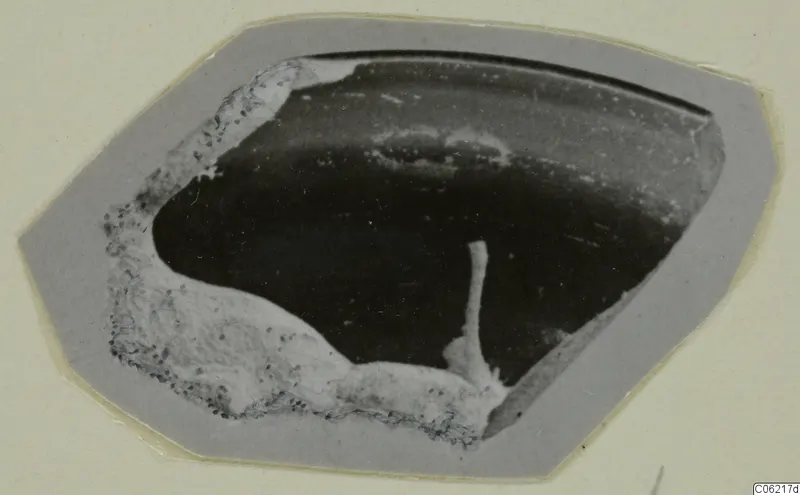 Sherd with a dark, smooth surface and white crusty deposit along one edge, shown on a grey card mount.