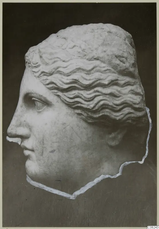 Marble head of a female figure in profile facing left, with wavy hair, from Soli