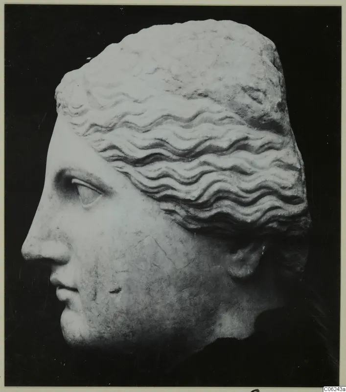 Marble head in left profile with wavy hair, shown against a black background