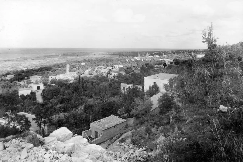 View over the village of Lapithos towards the sea, with a tall tower and dense trees in the valley