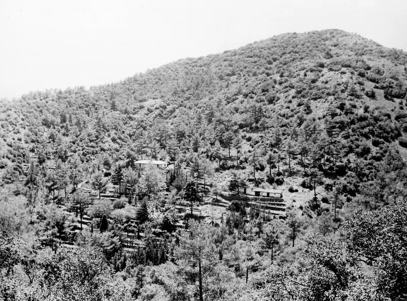 Hut in Måndalen (Moon Valley) near Machairas, among pine trees on a wooded hillside