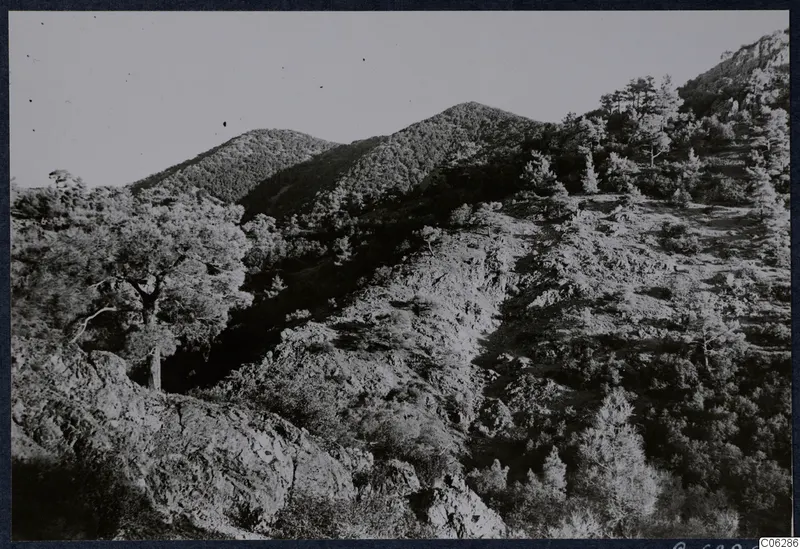 Wooded mountain slopes with rocky outcrops and pine trees at Machairas, Troodos, under a pale sky.