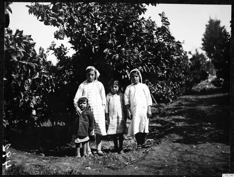 Ibrahim's girls standing in an orange grove at Soli