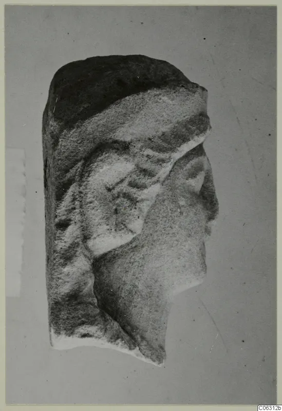 Fragment of a limestone head in profile, facing right, photographed on a plain grey backdrop