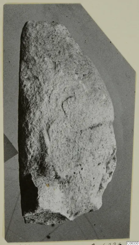 Fragment of a limestone statue from Kition with shallow curved carved lines on its face and a broken lower edge.