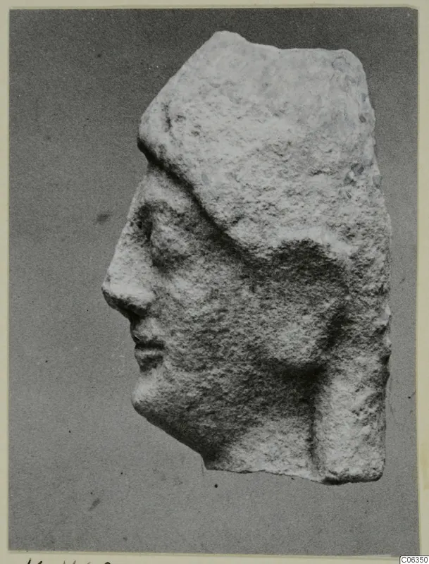 Limestone head fragment in profile, facing left, from Kition