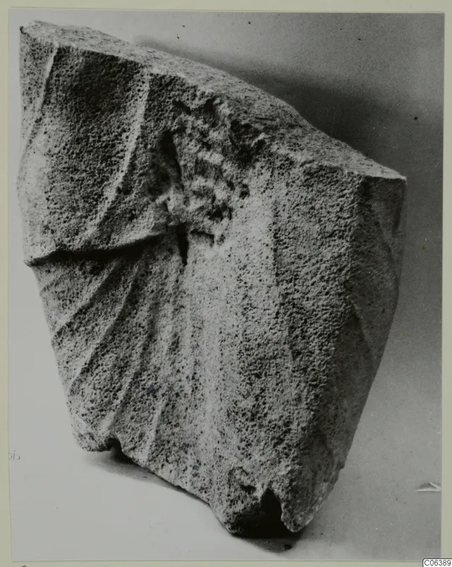 Limestone sculpture fragment from Vouni with carved ridges and a curled element on its upper surface