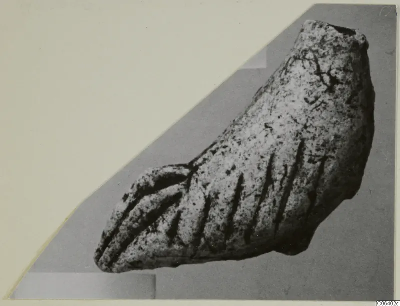 Curved limestone fragment with parallel incised grooves, a minor plastic find.