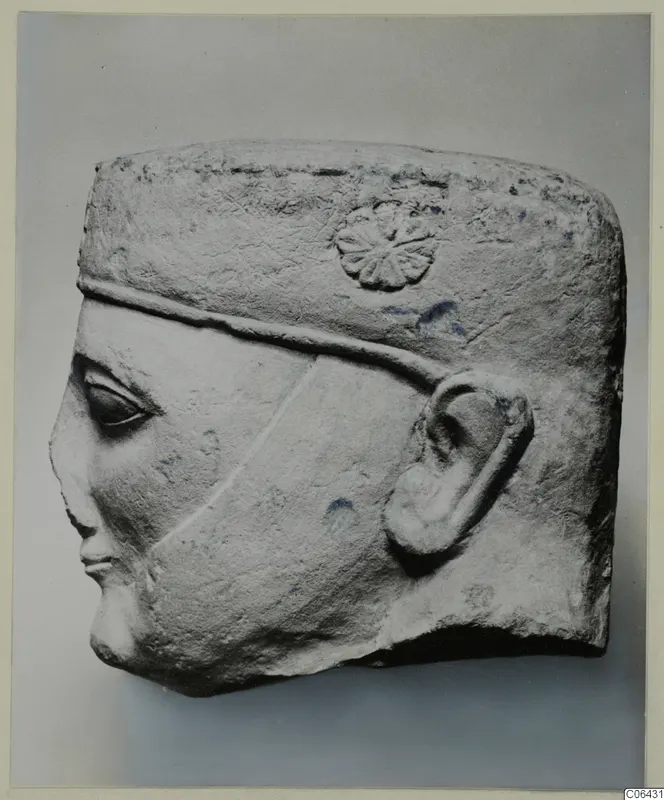 Limestone head fragment in profile facing left, with a flat headdress, rosette ornament and carved ear.