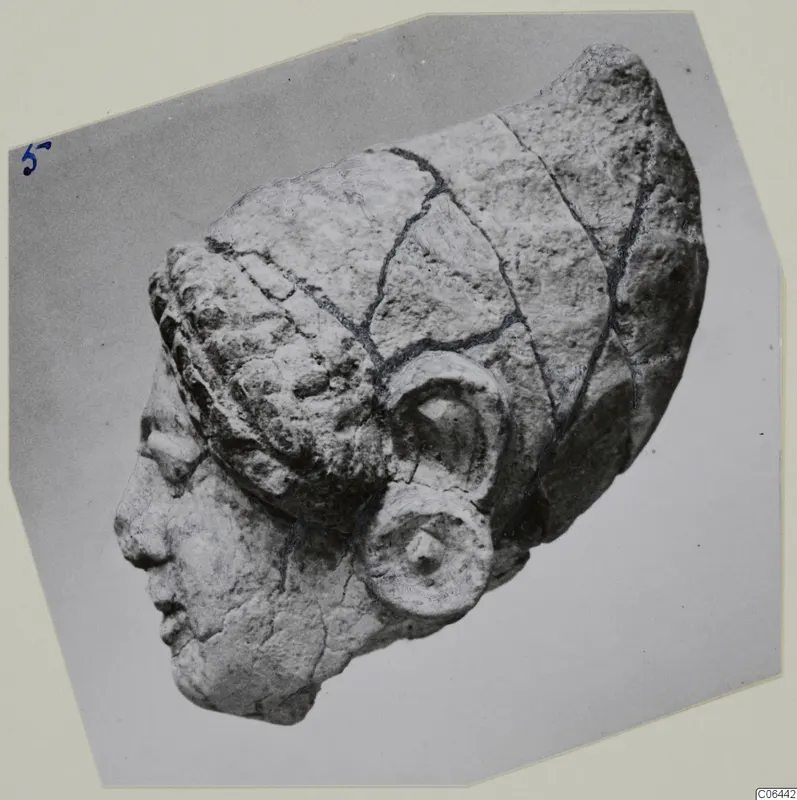 Limestone head fragment in profile facing left, with a ridged headdress and a rounded ear with a disc below it, photographed on grey card.