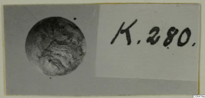 Round bead from Kition beside a handwritten number label, photographed on a grey mount