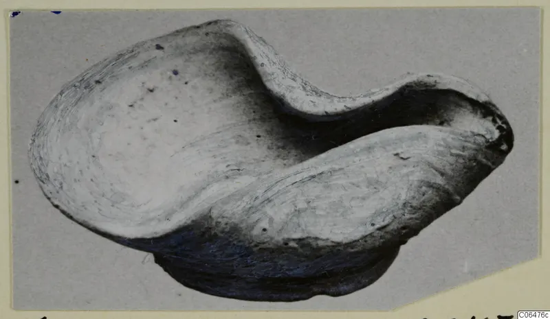 Terracotta lamp from Kition (K.4), a curved object with a pointed projection at one end