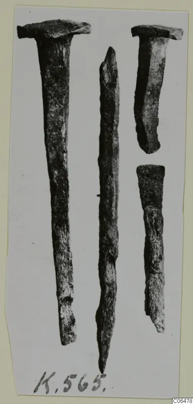 Four corroded metal nails on a pale card mount