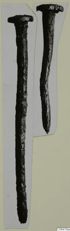 Two corroded nails with flat heads, photographed side by side on a mounted card