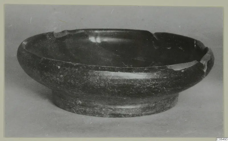 Dark bowl with a ring foot and chipped rim, photographed in side view against a plain grey background
