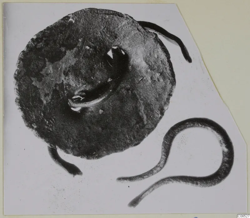 Corroded metal disc with a looped fitting and curved metal fragments beside it