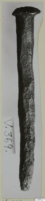Corroded metal nail with a flat, rounded head, shown upright against a pale background.