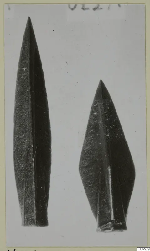 Two pointed weapon blades photographed side by side on a pale background, one longer and narrower than the other.