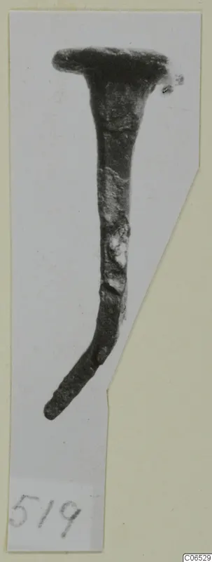 Bronze nail-like object with a flat head and bent shank, photographed on a cut-out card.