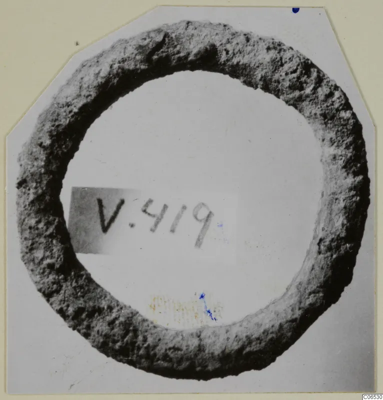 Bronze ring, V.419, photographed on a light mount with a number label.