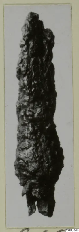 Heavily corroded iron object, long and knobbly, shown upright on a photo card mount