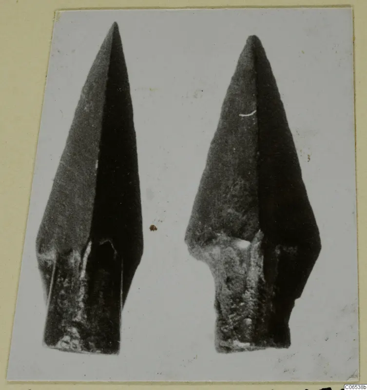Two bronze weapons with long pointed blades and thick corroded bases, shown side by side