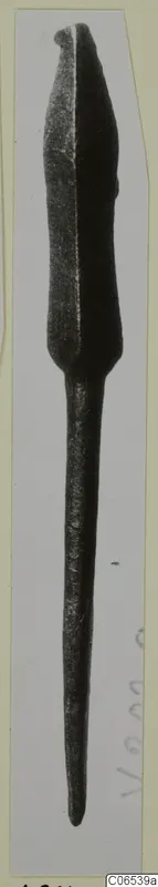 Bronze weapon with a leaf-shaped blade and a long tapering tang, photographed upright on a mounted card