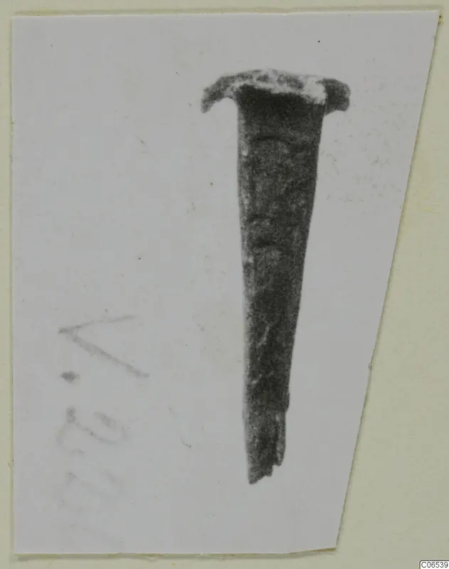 Metal nail with a flat head, shown on a card mount, from the Vouni metalwork series