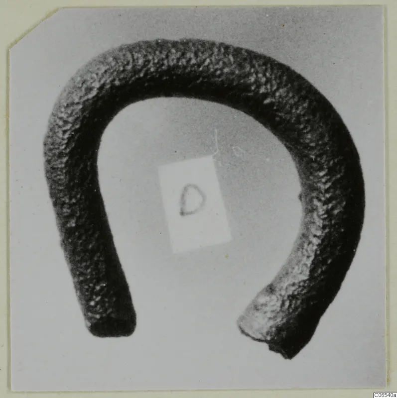 Bent metal rod in a U-shape with a dark, pitted surface, photographed on a pale grey background