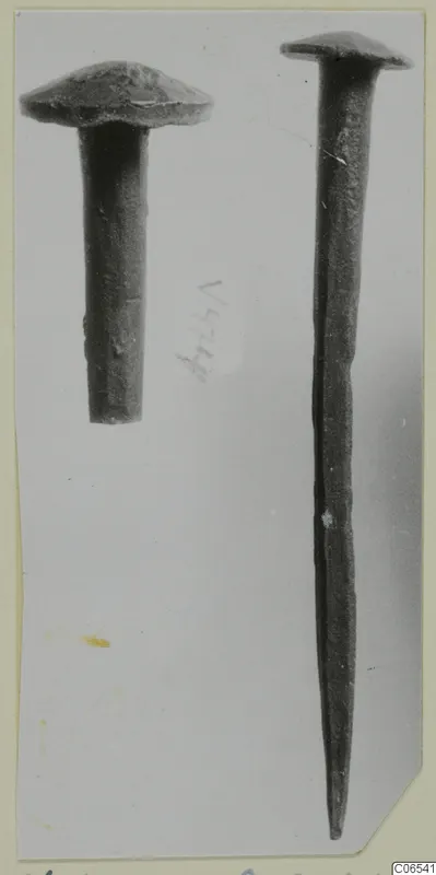 Two nails with flat domed heads, one short and one long tapering, photographed on a pale grey background.