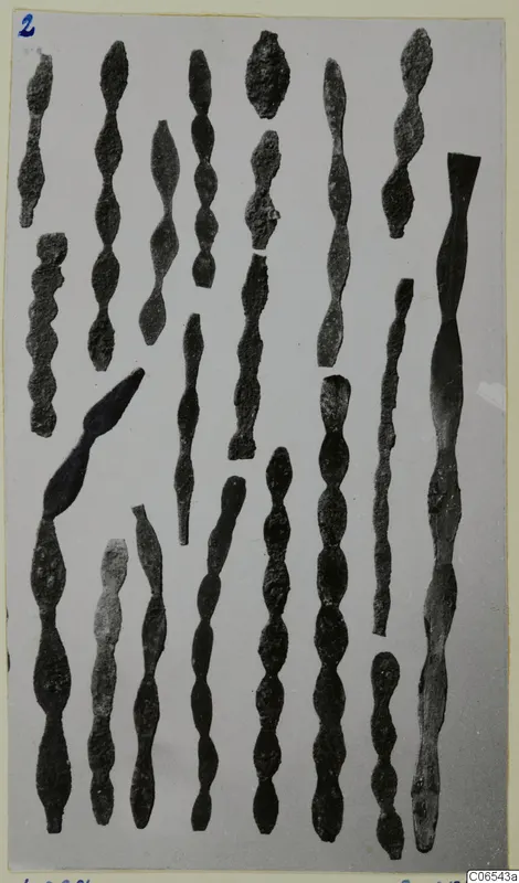 Group of about two dozen corroded metal rods with bead-like swellings, laid out on a pale grey background