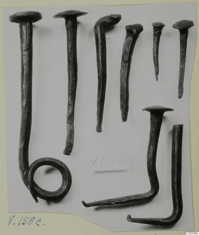 Several dark corroded metal nails and bent rods laid out on a pale ground