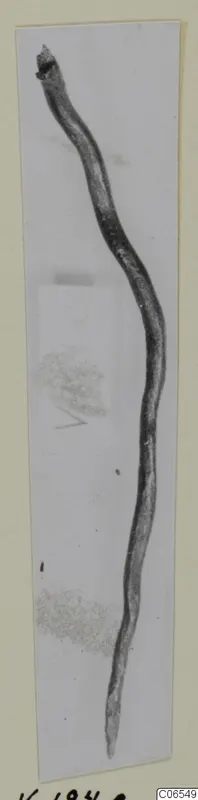 Bronze pin from Vouni, a long thin shank curving in an S-shape, photographed on a pale background