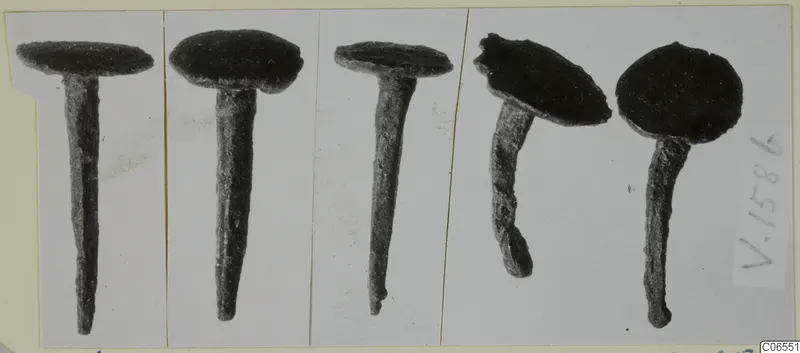 Five dark, corroded nails with flat round heads, photographed side by side on a mounted card
