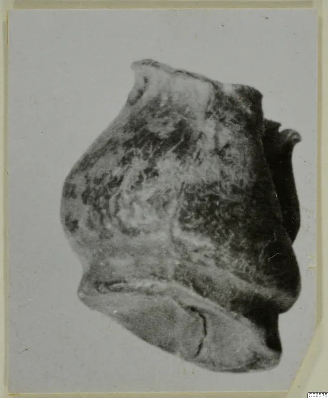 Lead fragment: an irregular, rounded lump with a flared lip at the top