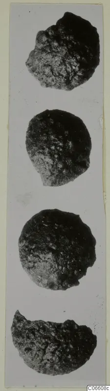Four corroded bronze fragments stacked in a vertical row, shown on a light grey background