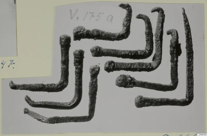 Several corroded bent metal rods with knobbed ends, arranged on a grey card mount