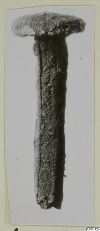 Corroded nail from Vouni with a broad flat head, photographed alone against a pale background