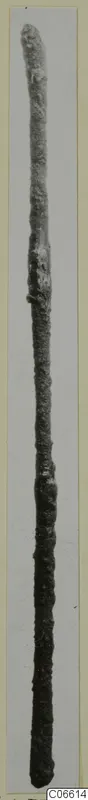 Long, thin, corroded metal rod photographed upright against a pale background