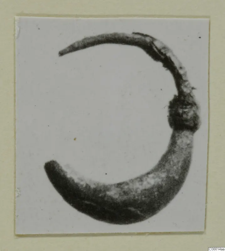 Curved fragment of a dark object from Vouni, shown as a photograph mounted on a cream card.